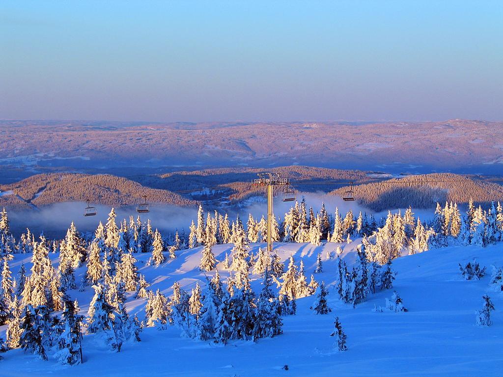Sjusjoen Hytteutleie As Buitenkant foto