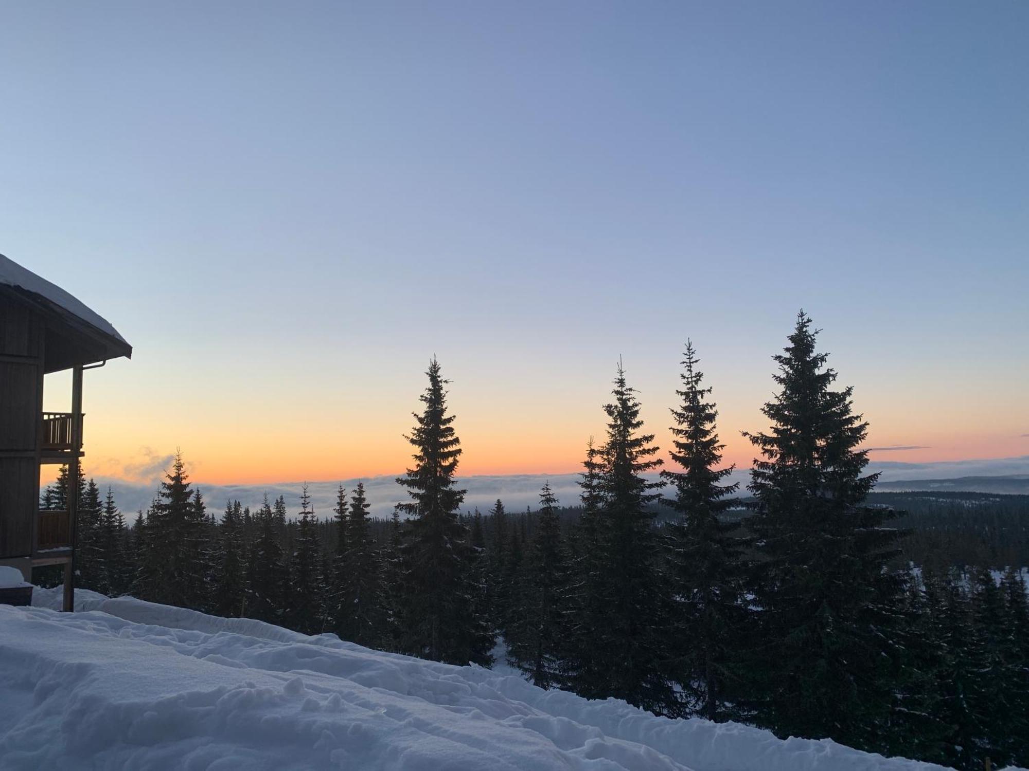 Sjusjoen Hytteutleie As Buitenkant foto