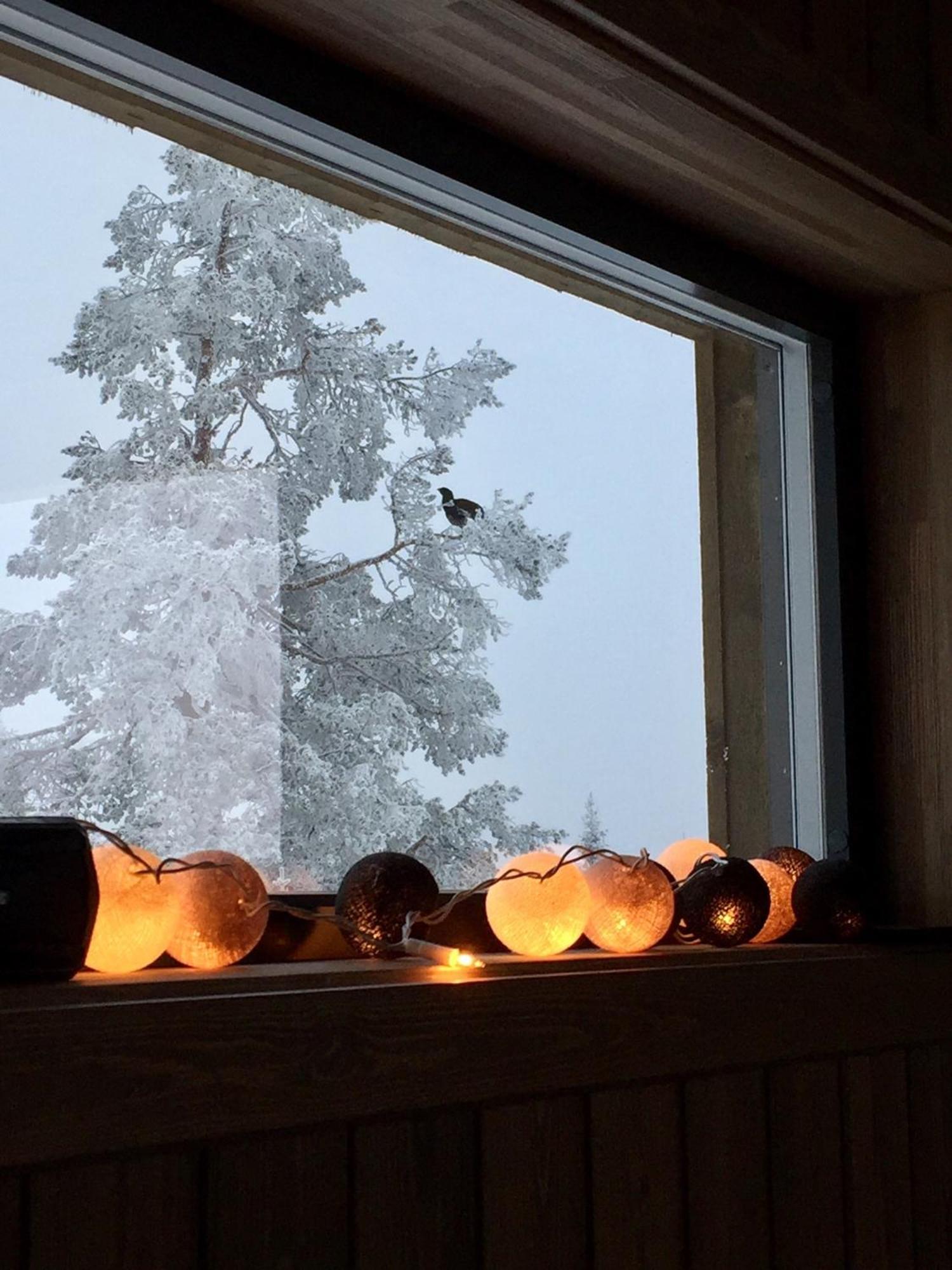 Sjusjoen Hytteutleie As Buitenkant foto